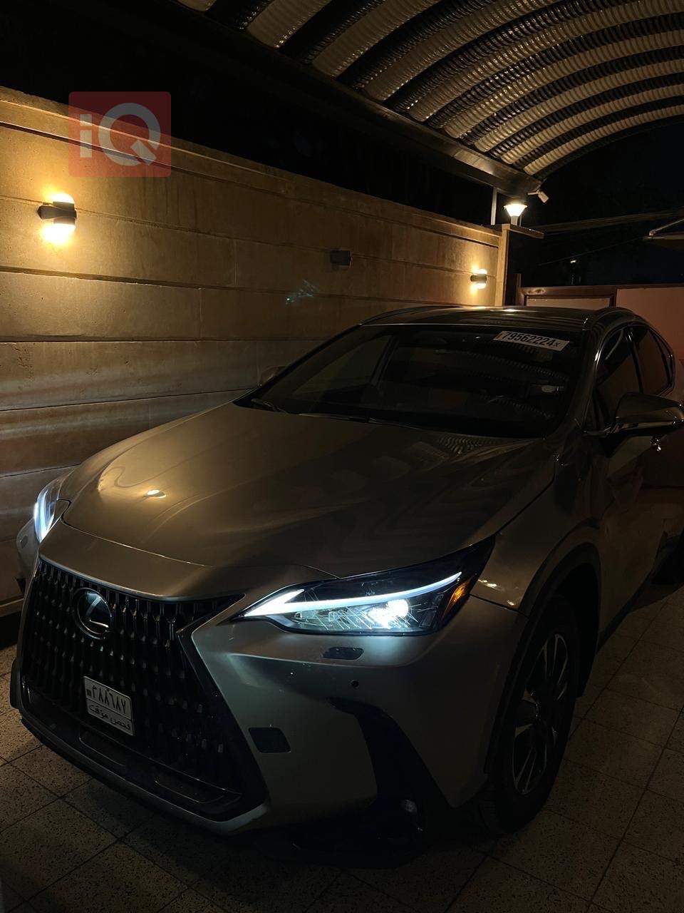 لێکزس NX